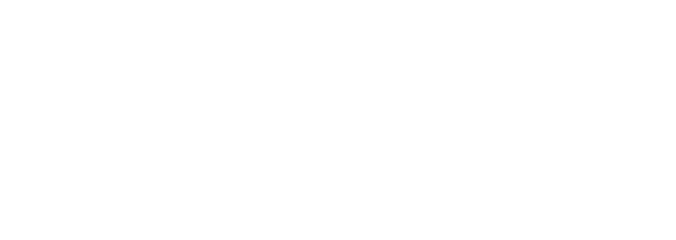 logo spinzi white